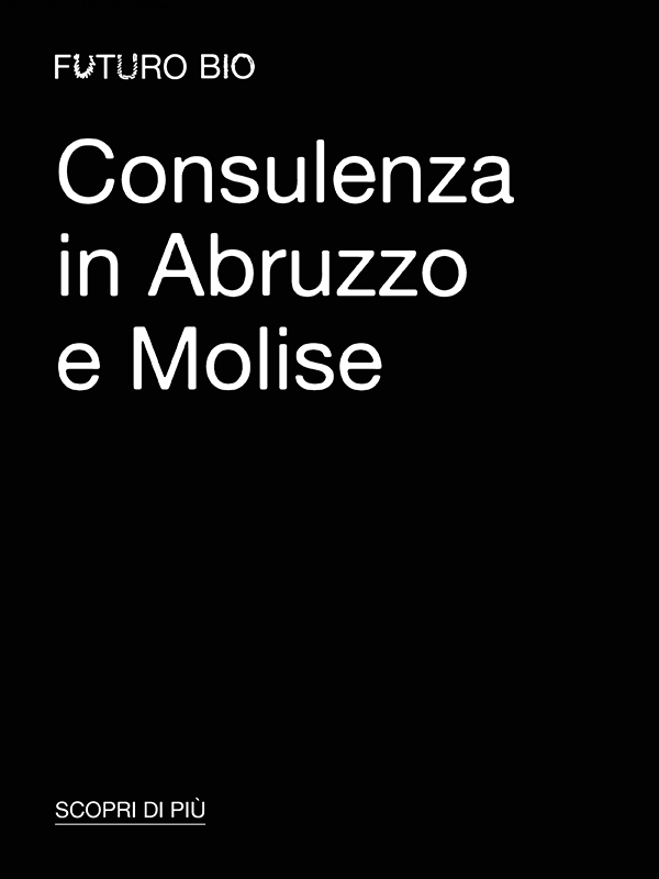 Consulenza 1
