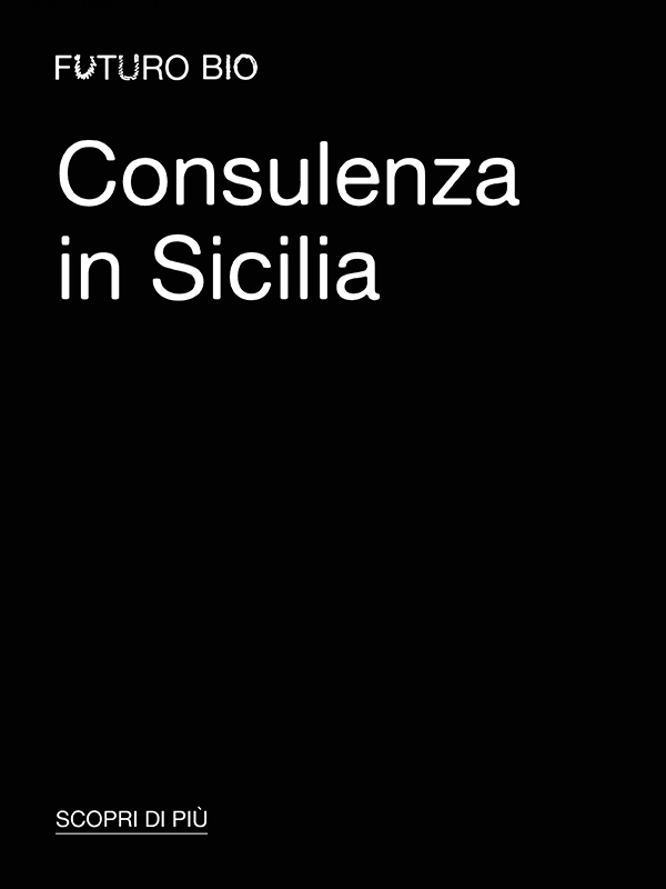 Consulenza 2