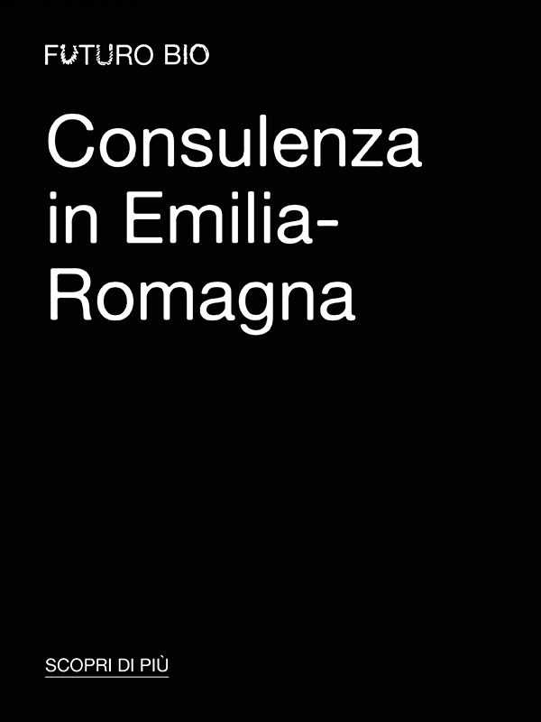 Consulenza 3