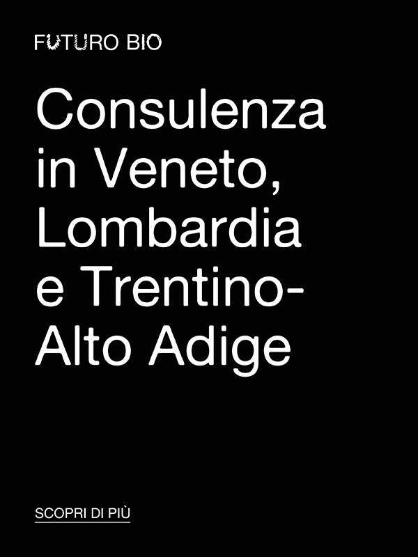 Consulenza 4
