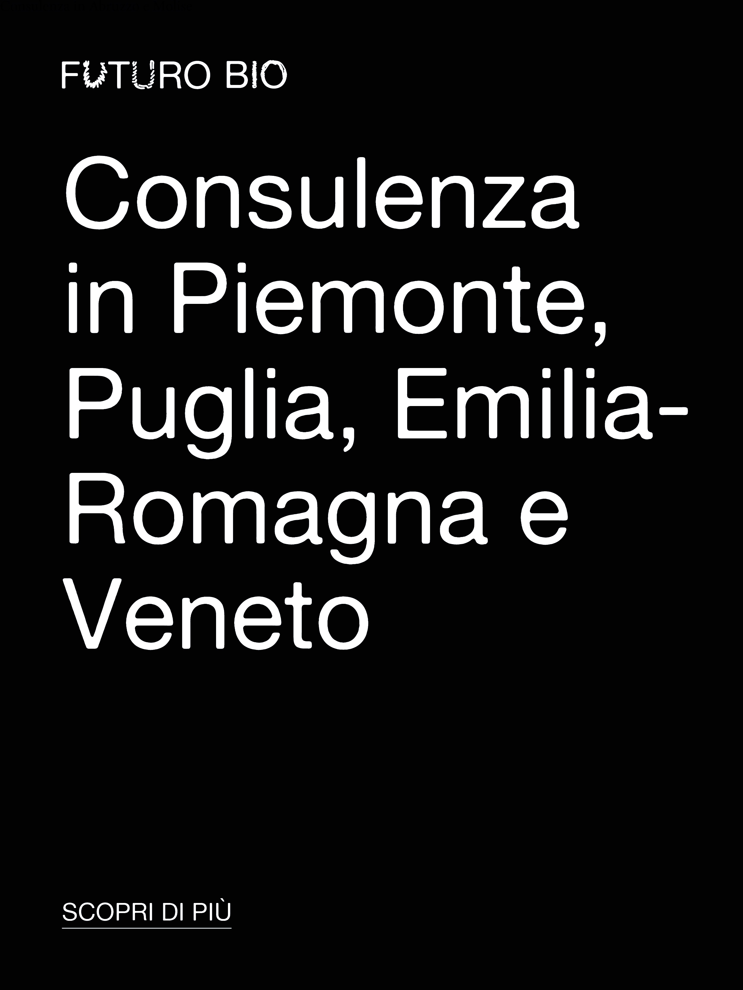 Consulenza 5